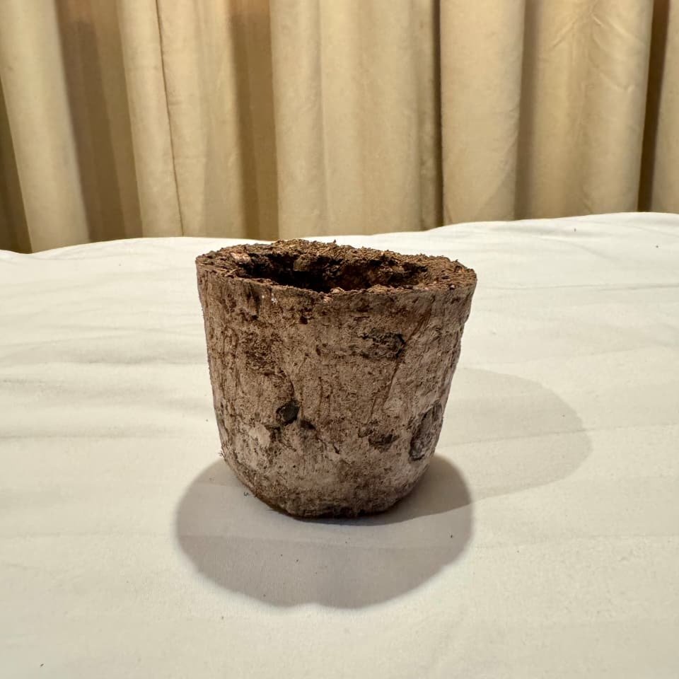 Pot Semai