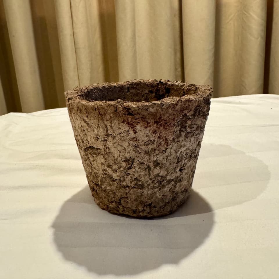Pot Dekorasi